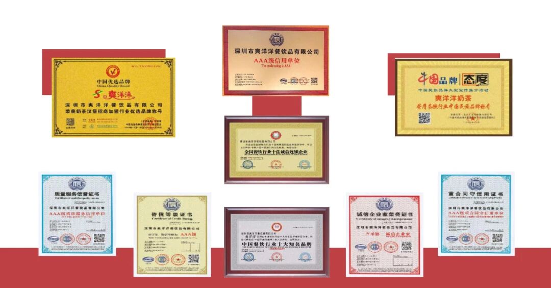 爽洋洋所获荣誉证书